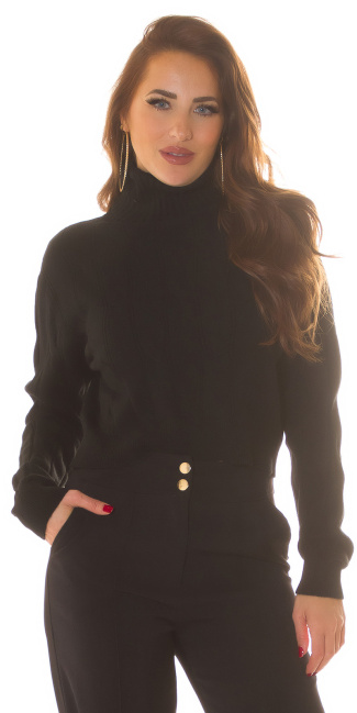 Musthave Knit Sweater with Turtleneck Black